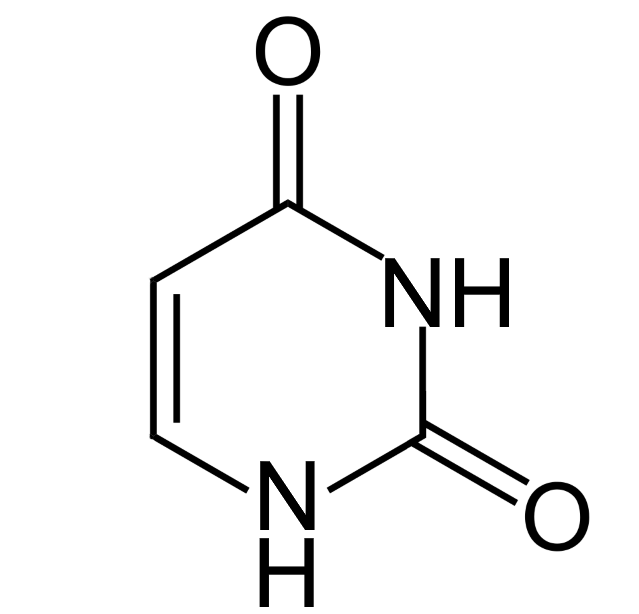 uracil