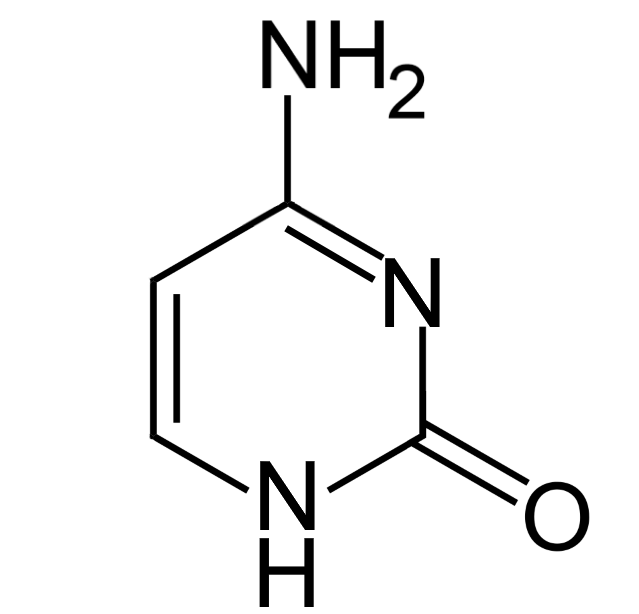 cytosin