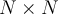 N \times N