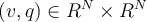  (v,q) \in R^N \times R^N 