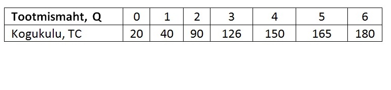 ettevõtte tootmisprogramm