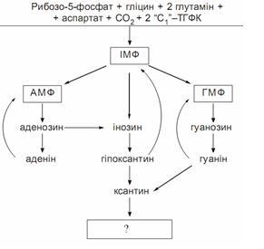 оеш