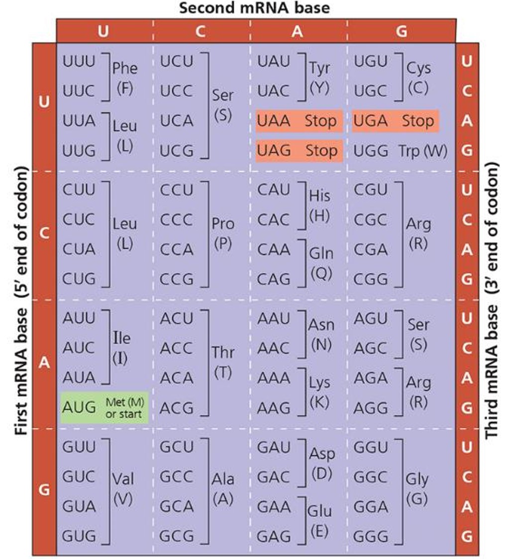 Codon table