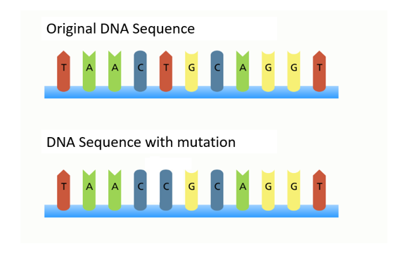 mutation