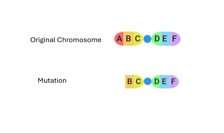 Mutation chromosomal 17.1