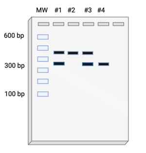 A white rectangular object with black and blue lines

AI-generated content may be incorrect.