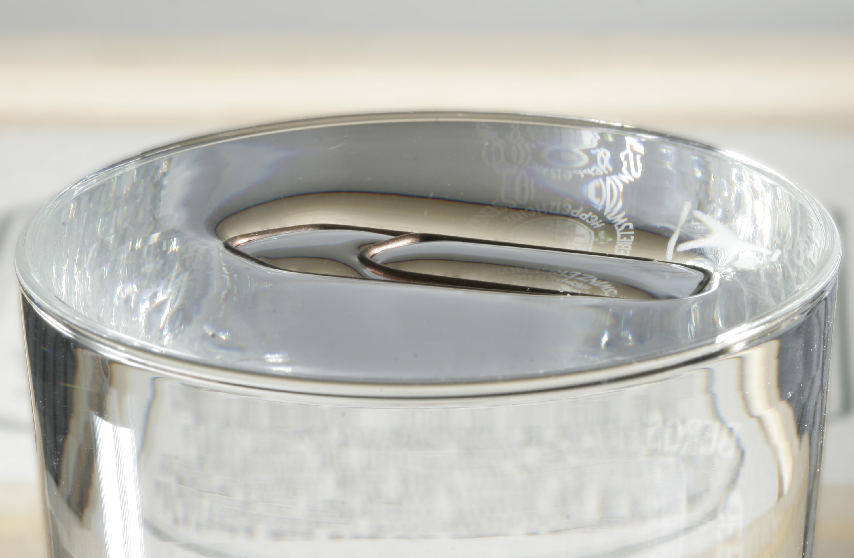 paper clip floating on water