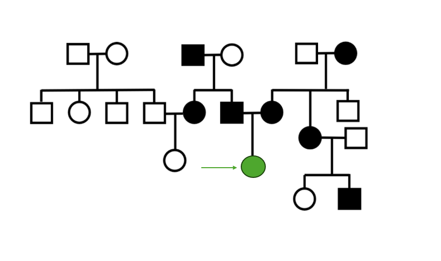 Mechanisms of inheritance 23.3