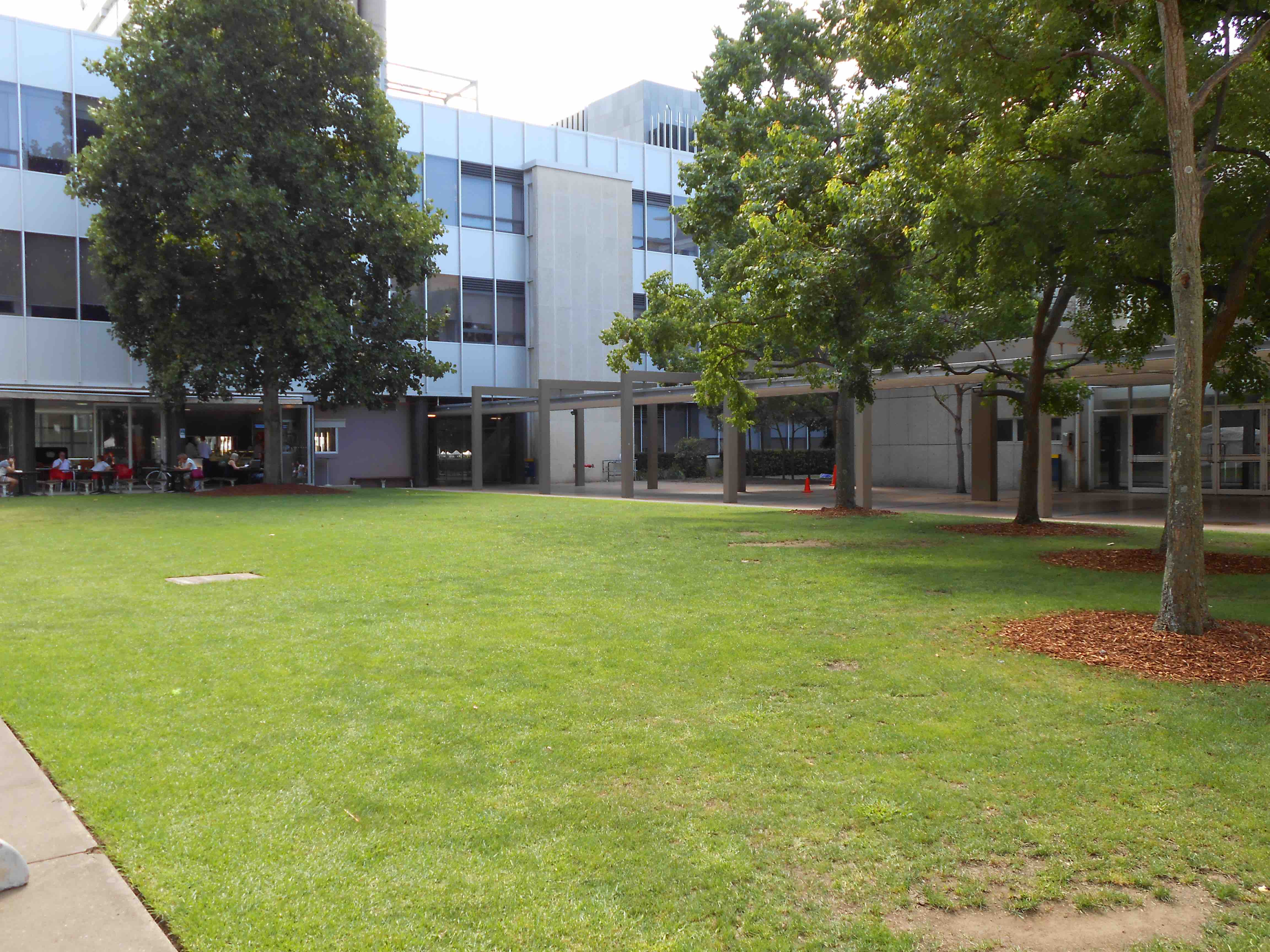 The Science Theatre Lawn
