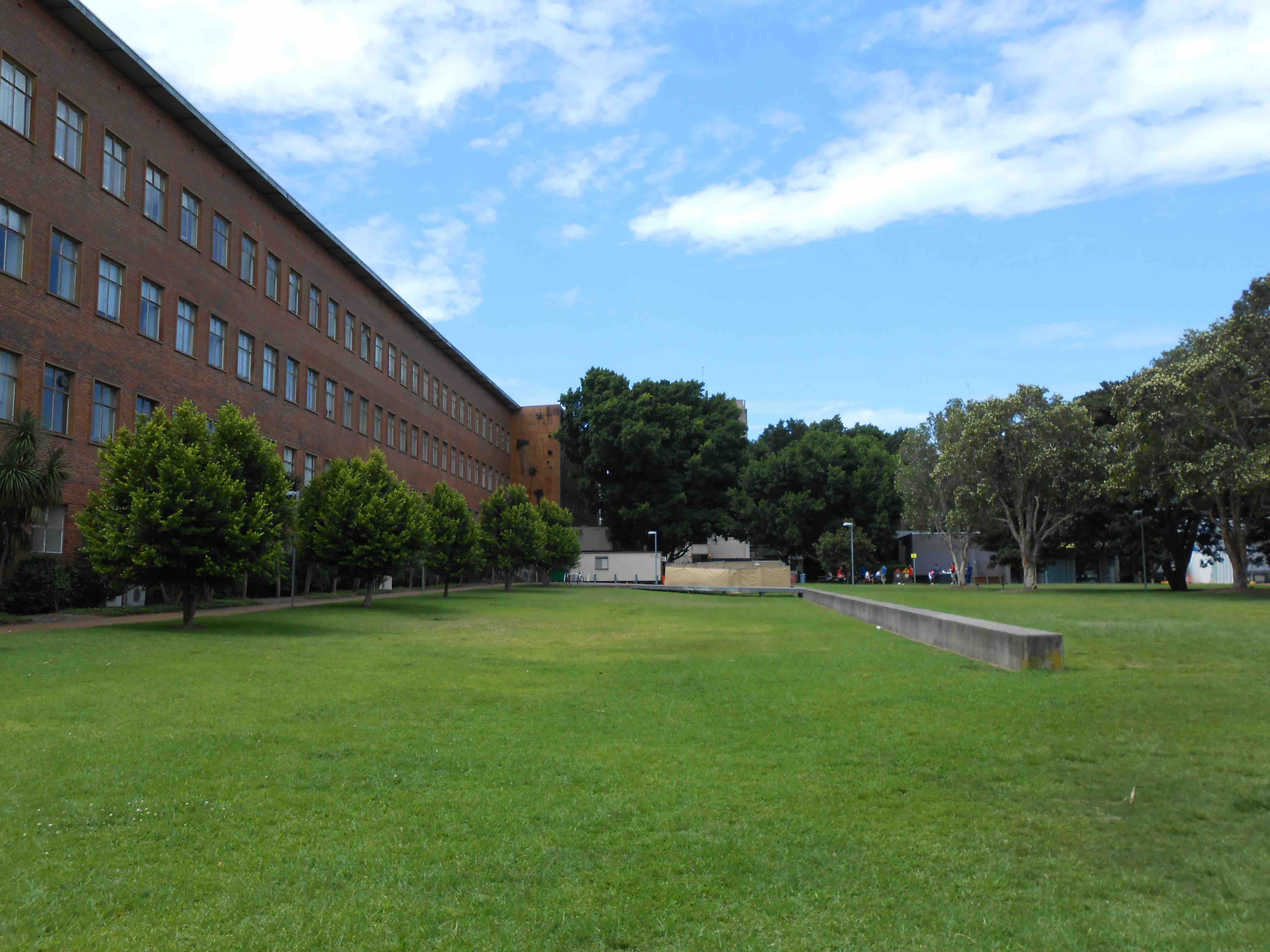 The Physics Lawn