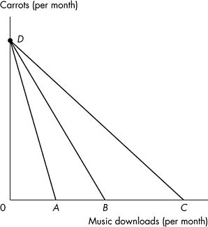 A graph plots music downloads (per month) versus carrots (per month).The horizontal axis is labeled music downloads (per month), and the vertical axis is labeled carrots (per month). A graph displays three downward sloping lines. The first line falls from the top left in the vertical axis at point D to the bottom left in the horizontal axis at point A. The second line falls from point D to the bottom center in the horizontal axis at point B. The third line falls from point D to extreme right in the horizontal axis at point C.