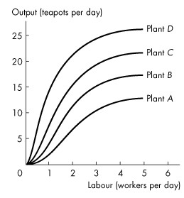 A graph plots labor versus output. In the graph, the horizontal axis is labeled labor (workers per day) and the vertical axis is labeled output (teapots per day). The horizontal axis ranges from 0 to 6 in increments of 1 unit, and the vertical axis ranges from 0 to 25 in increments of 5 units. Four upward curves are labeled Plant A, Plant B, Plant C, and Plant D.