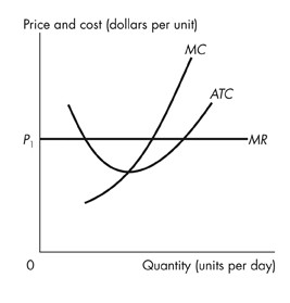 The horizontal axis represents Quantity in units per day. The vertical axis represents Price and cost in dollars per unit. A horizontal line at y equals P1 is labeled MR. An upward-sloping curved line that becomes steeper is labeled MC.A u-shaped curve is labeled ATC.The MC curve intersects the ATC curve at the ATC curve's minimum. The two curves intersect below the MR line.The MC curve intersects the MR curve to the right of the intersection of the MC and ATC curves.