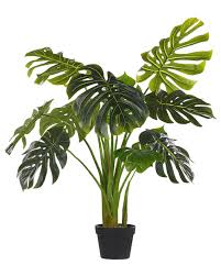 Cserepes Művirág 113 cm MONSTERA PLANT - Beliani.hu