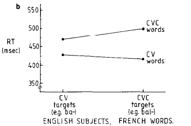 Image 1, Image