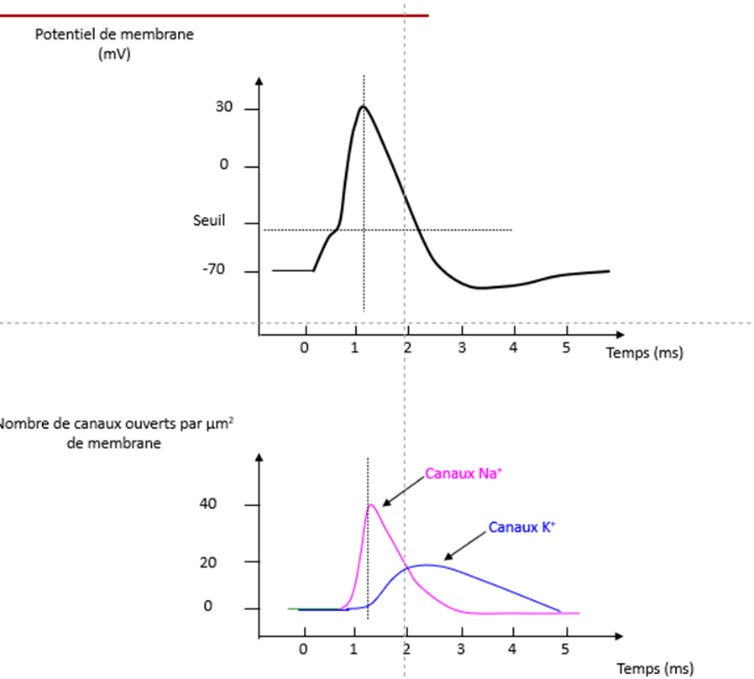 66c34839-6b13-4168-af0c-afe6c3175307