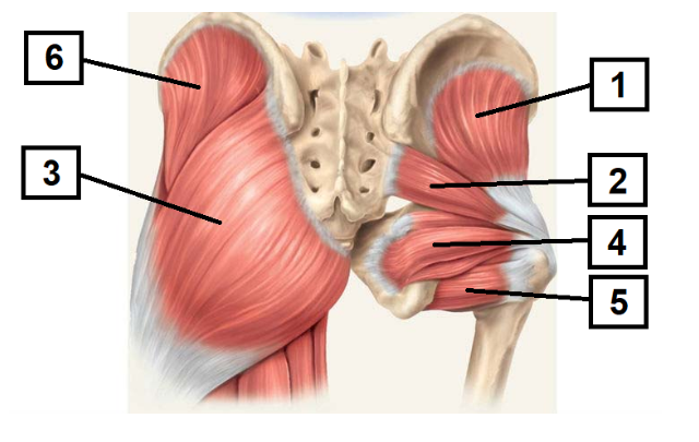 d65a700a-fc3e-4179-ae99-3f636f0fca69