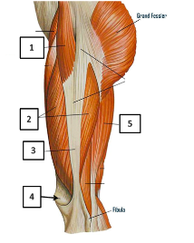 abae9d25-023e-4574-b7b1-4f8443a26338