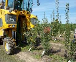Jornadas de demostración de maquinaria organizadas por INTIA | Intia