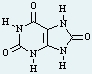 BM_test2_pr04.jpg