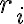  r_i 