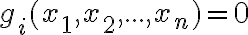  g_i(x_1,x_2, ..., x_n)=0 