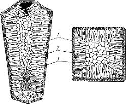 ÐÐ°ÑÑÐ¸Ð½ÐºÐ¸ Ð¿Ð¾ Ð·Ð°Ð¿ÑÐ¾ÑÑ ÐºÑÐ¸ÑÑÐ°Ð»ÑÐ·Ð°ÑÑÑ Ð¼ÐµÑÐ°Ð»ÑÐ²