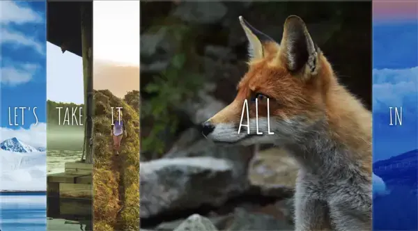 [wesbos30] 05. Flex Panel