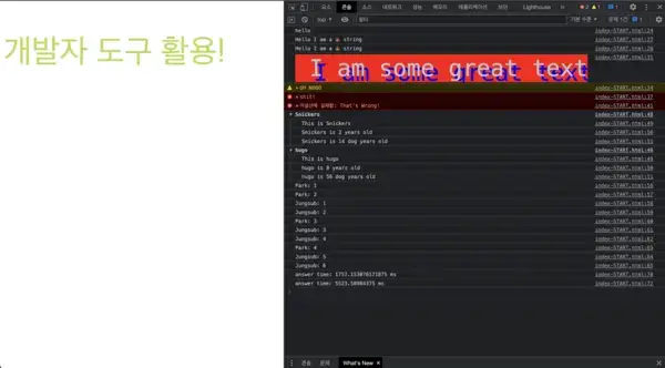 [wesbos30] 09. 개발자 도구 활용