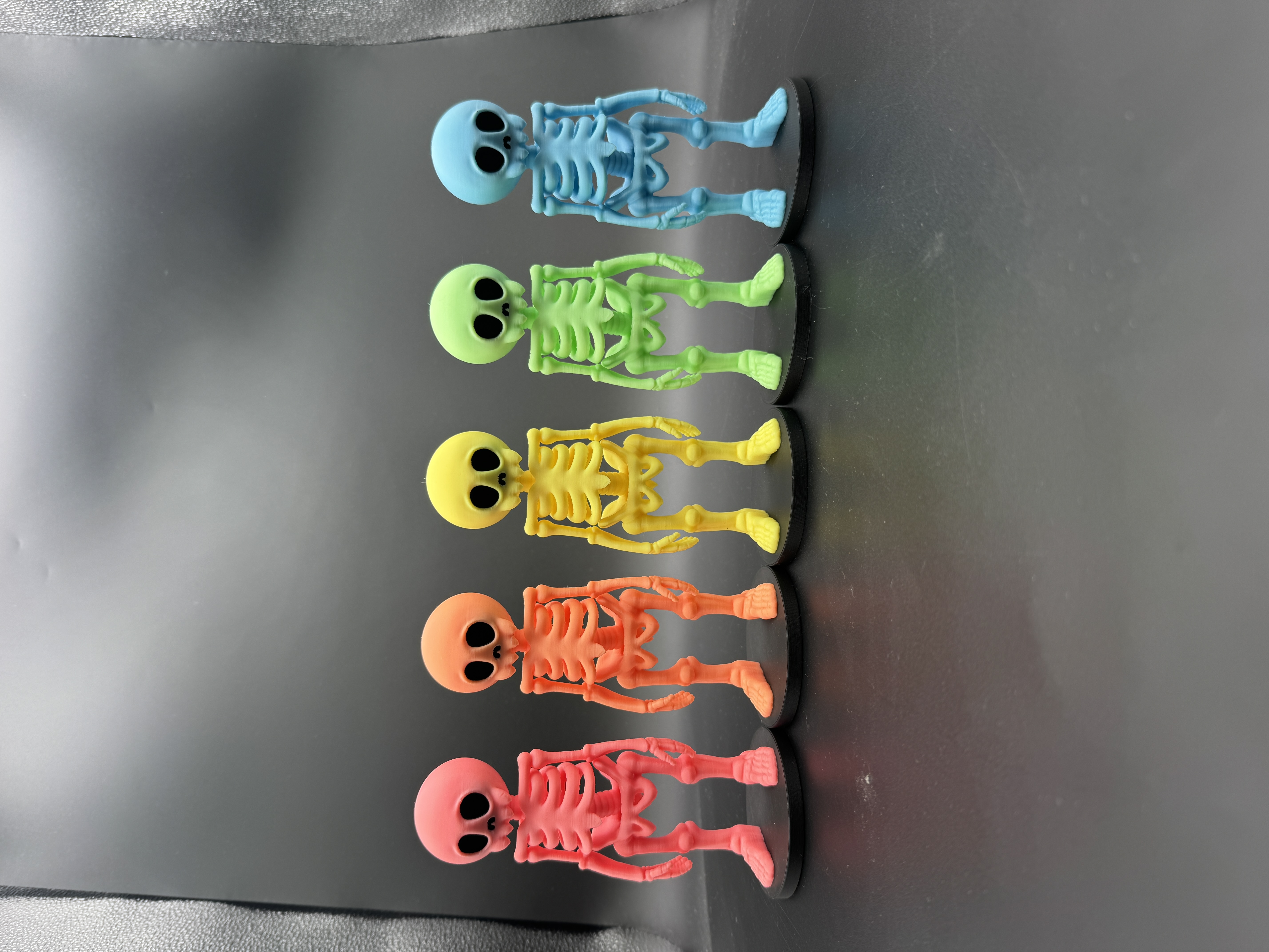 Skeleton Variety Pack