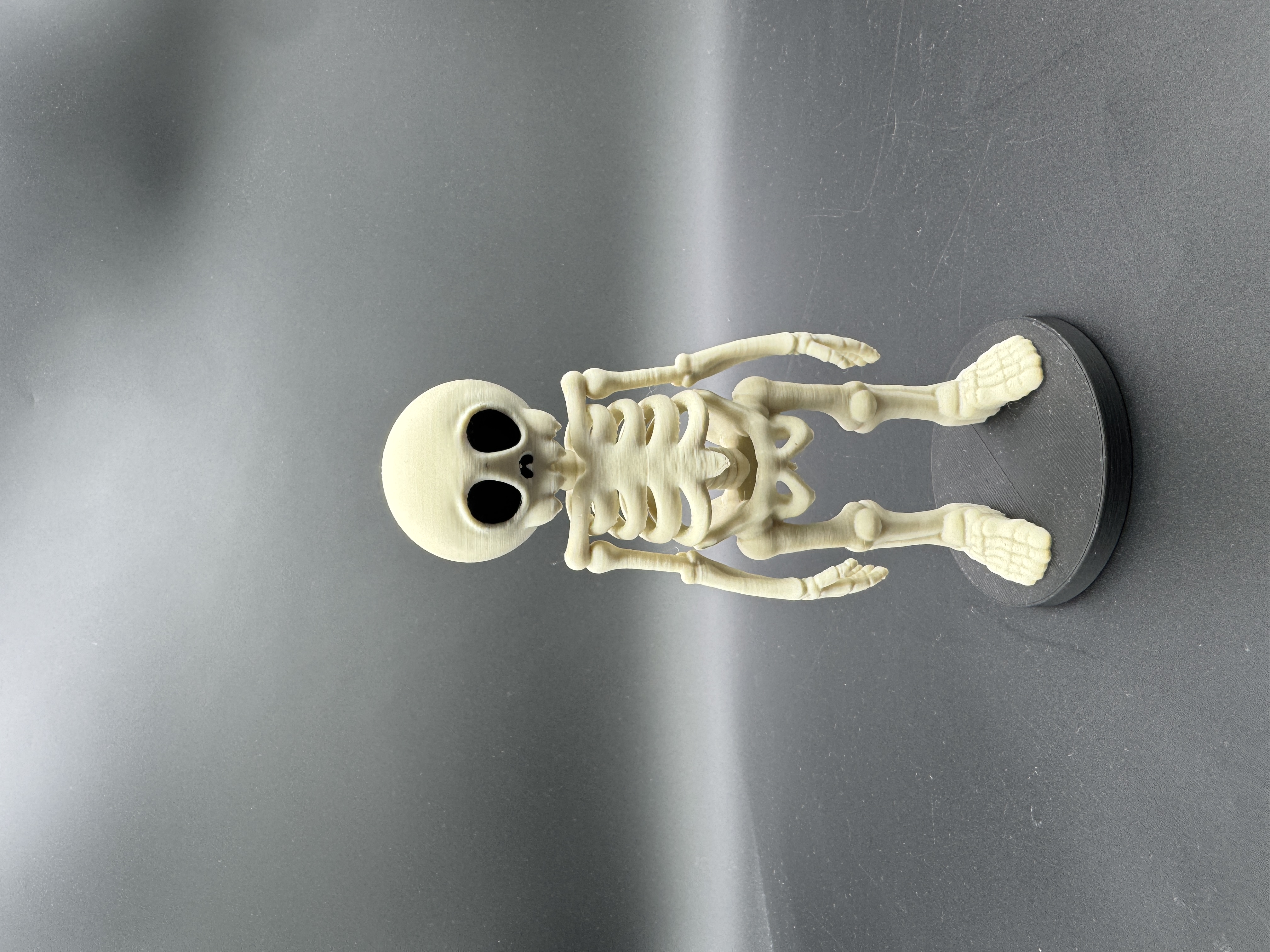 Sand Skeleton