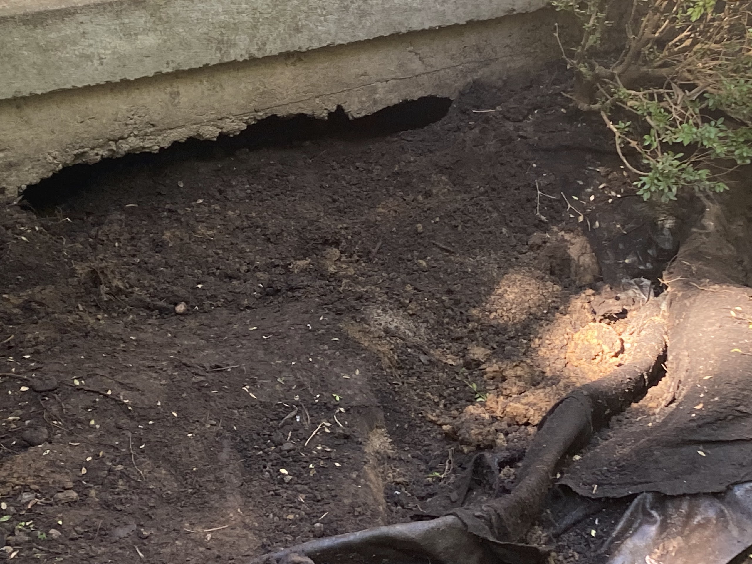 Front Yard Fountain Renovation in Kansas City — photo 4
