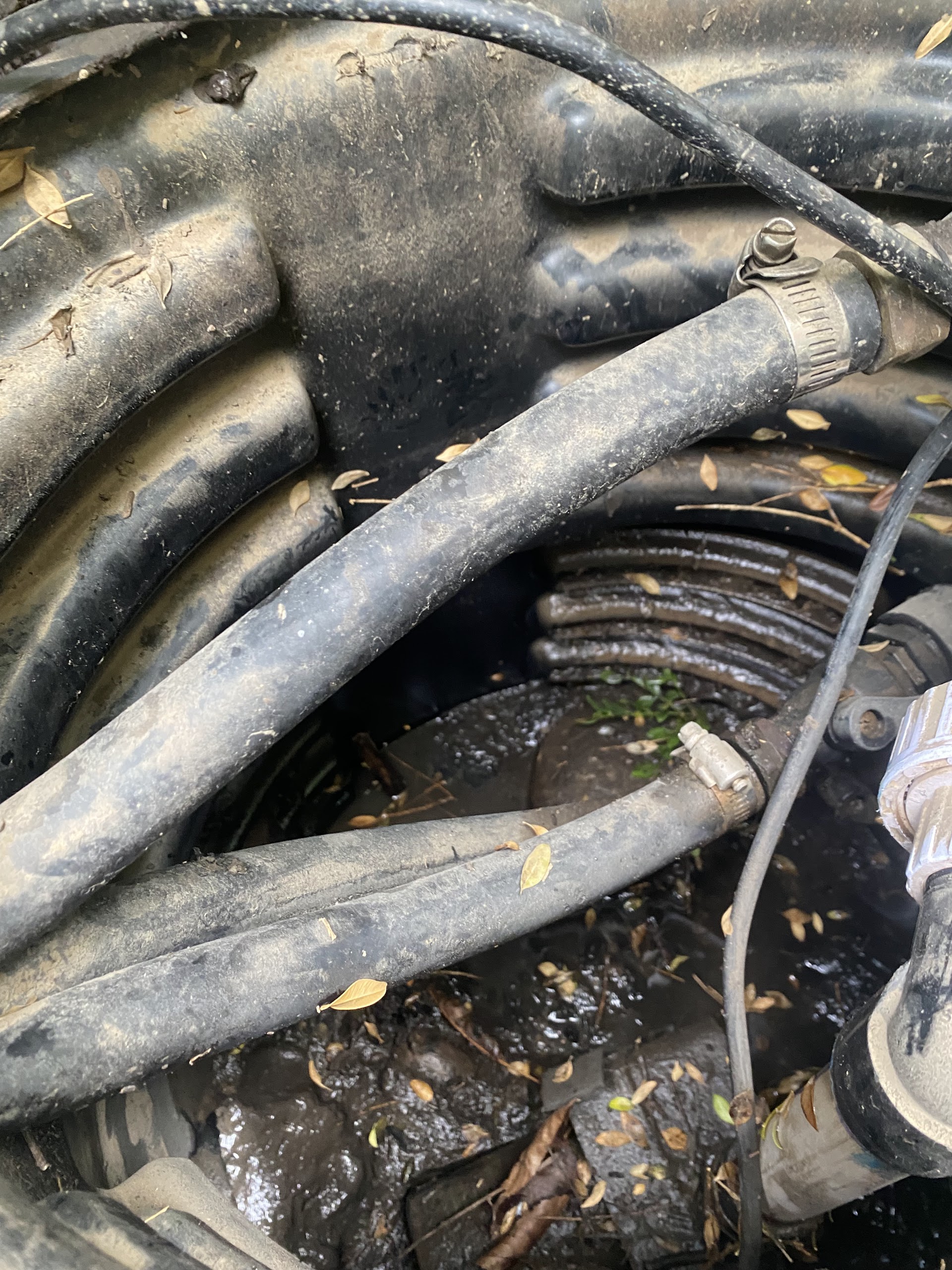 Front Yard Fountain Renovation in Kansas City — photo 14
