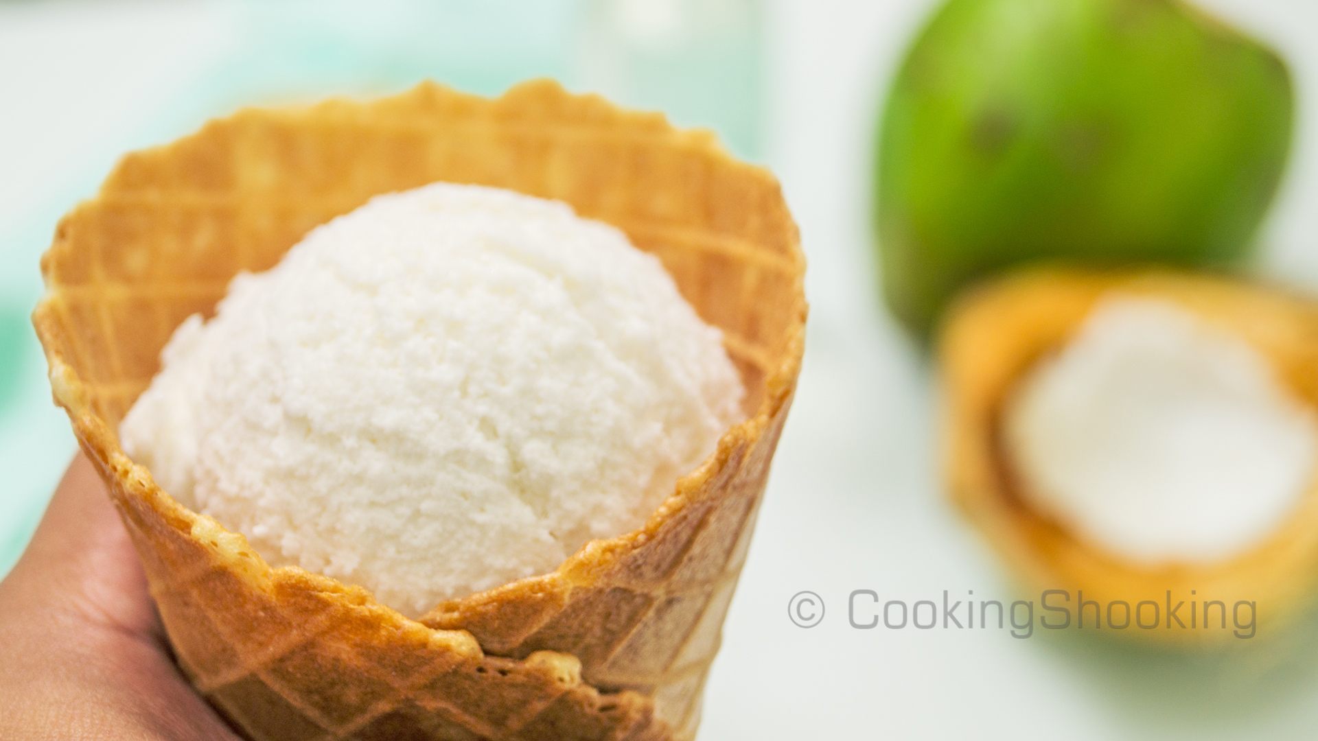 Tender Coconut Ice Cream Recipe ~ Natural Style | No-Eggs No-Ice Cream Maker