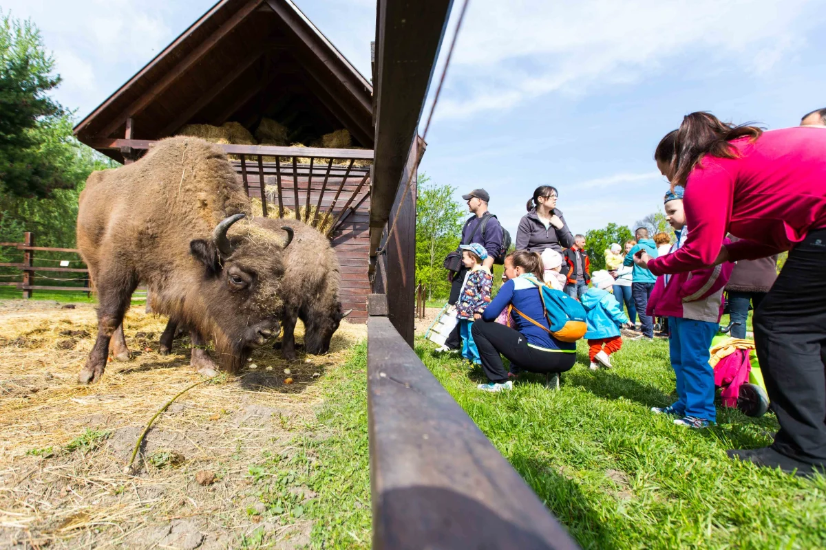 Körösvölgyi Állatpark & Látogatóközpont