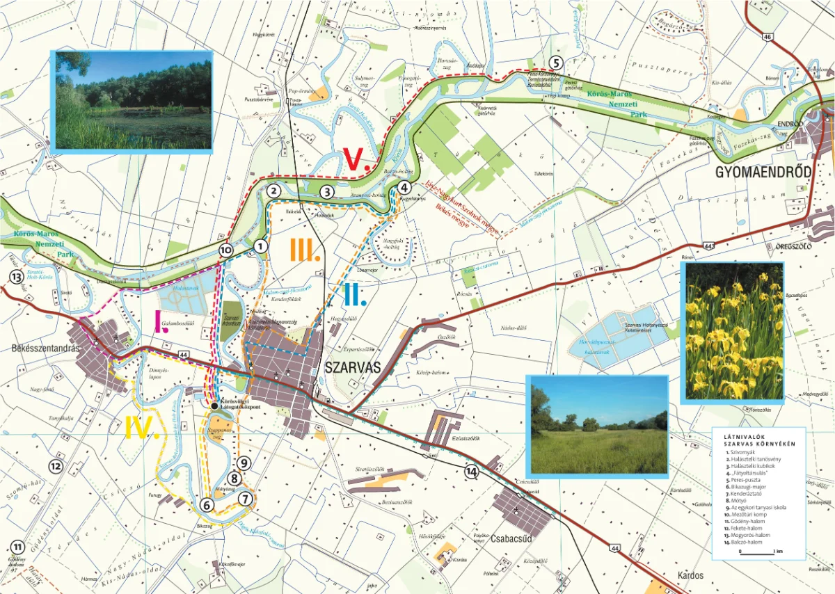Kerékpártúra a Holt-Körös mentén – öt útvonal a könnyűtől a kalandosig
