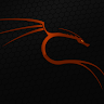 CSSBattle profile picture for @matrix