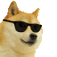 CSSBattle profile picture for @ppp