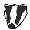 CSSBattle profile picture for @badger