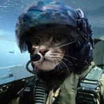 CSSBattle profile picture for @kit