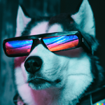 CSSBattle profile picture for @lobo