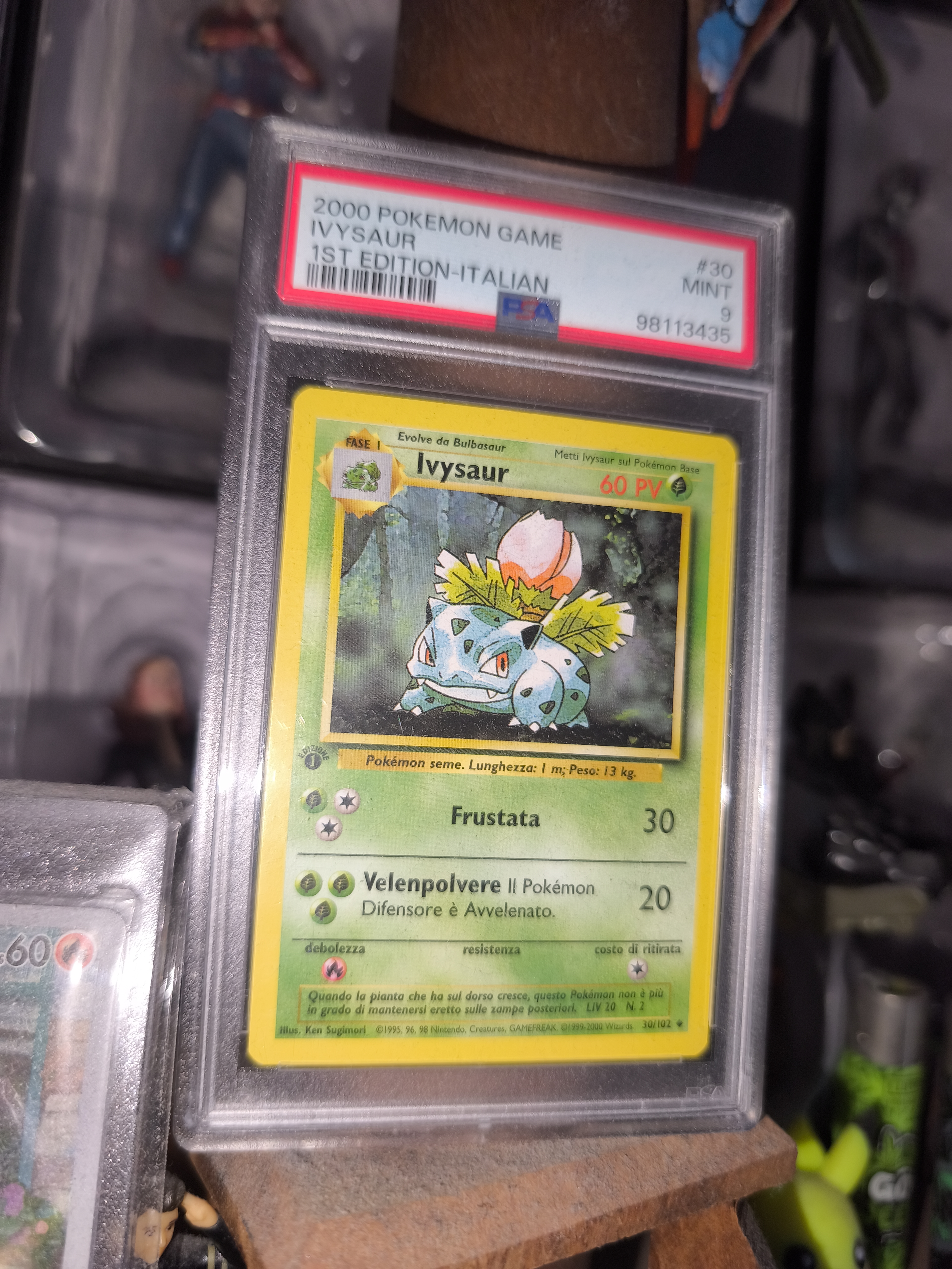 Ivysaur 