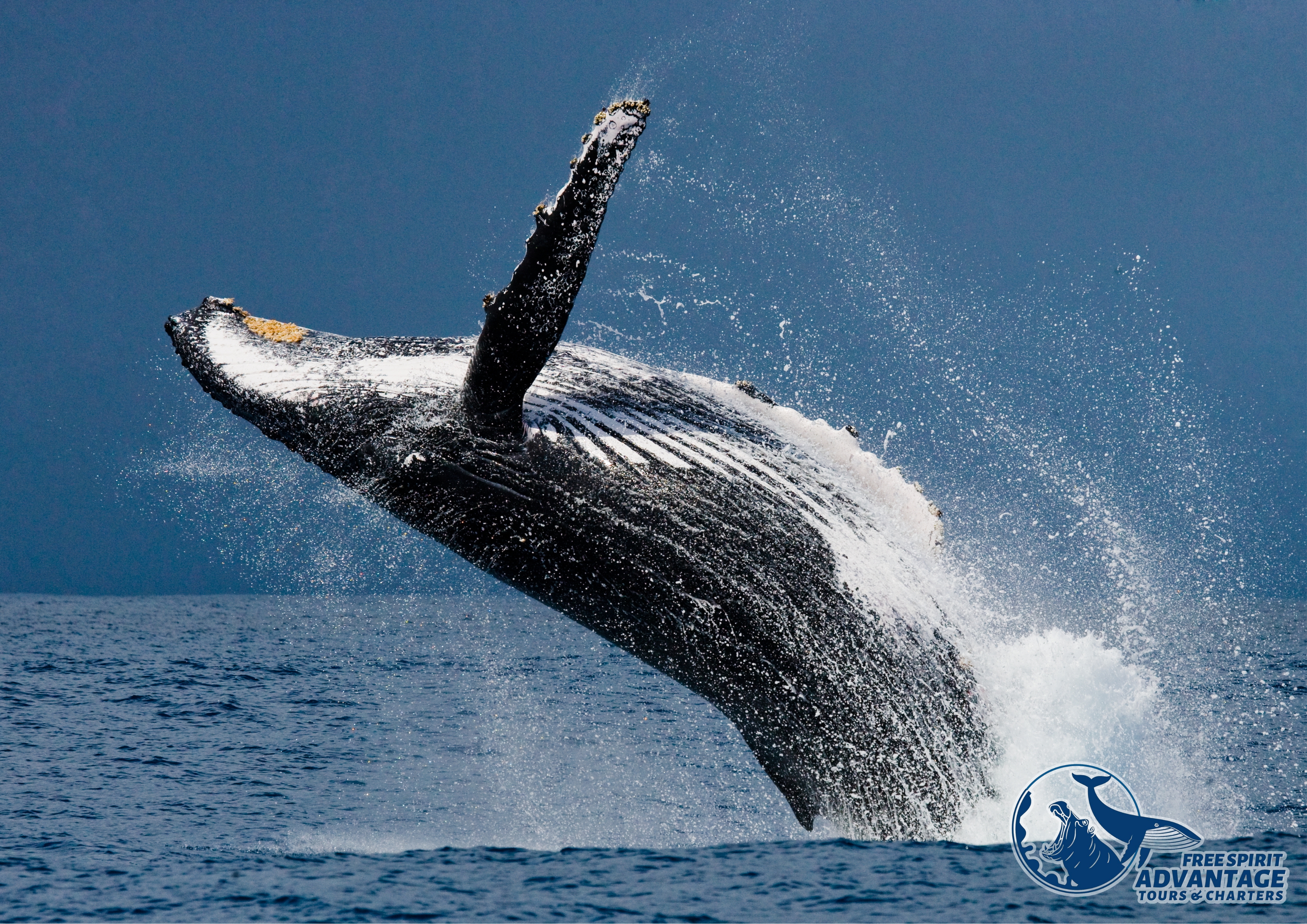 Exploring the Hidden Gems of St. Lucia