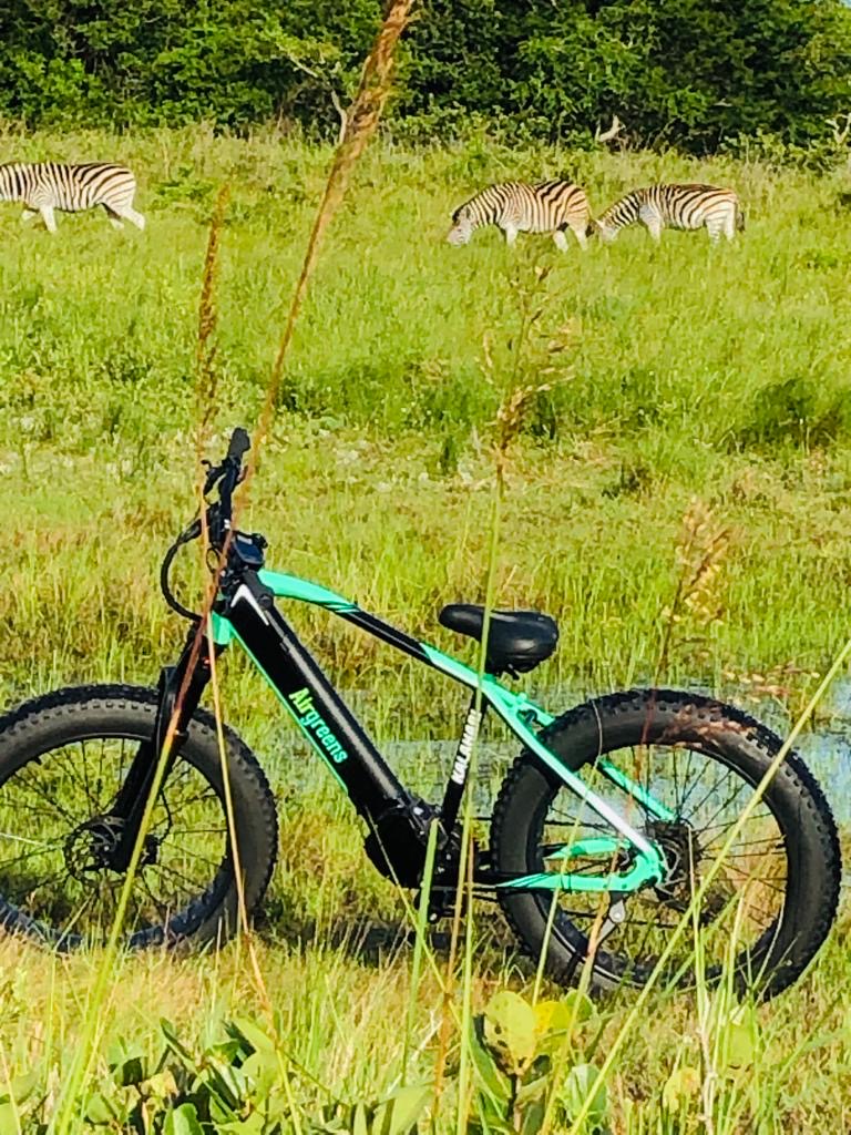 E Bike Tours - Image 2