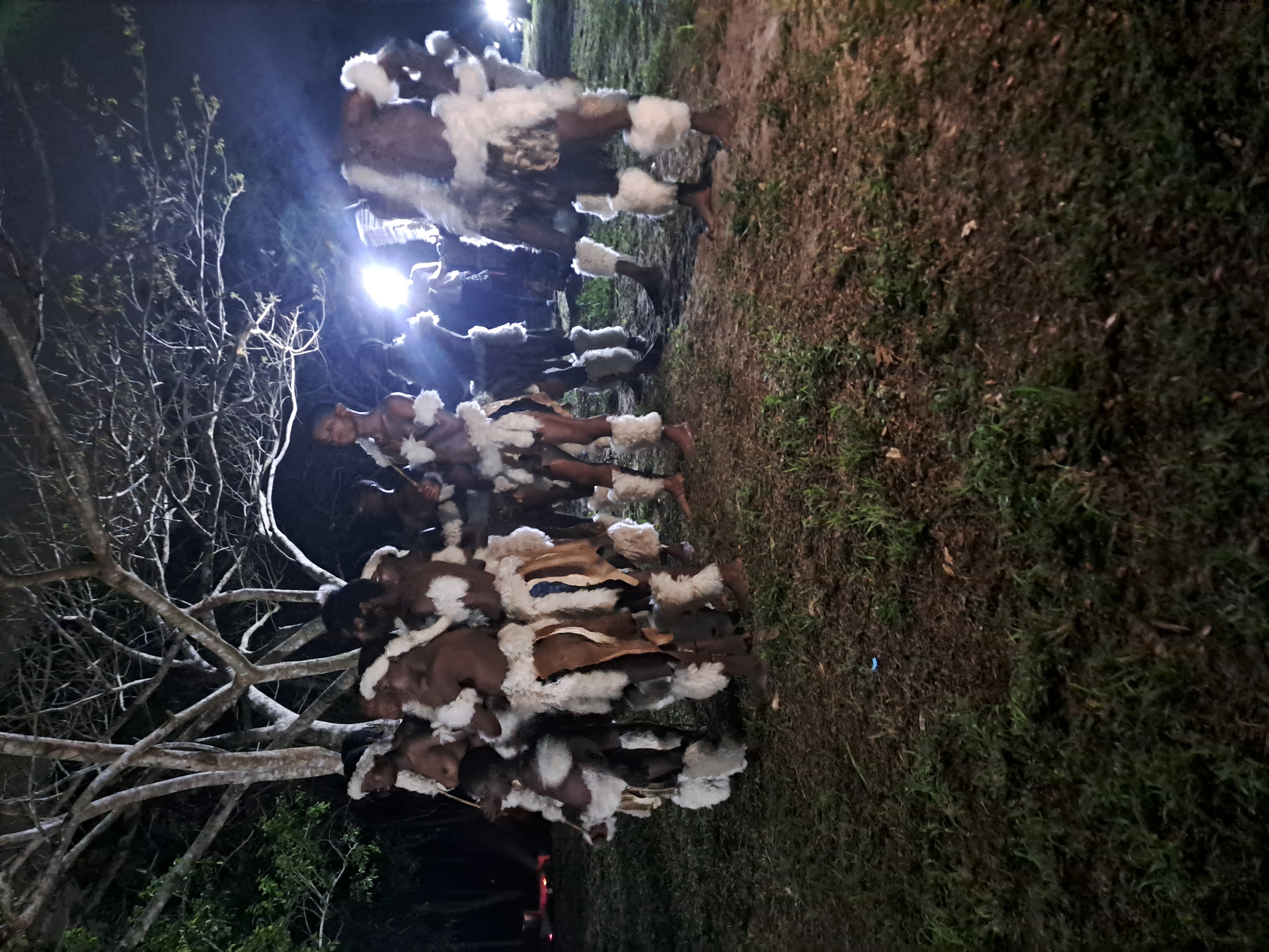 Wow! Camping Experience - Image 3