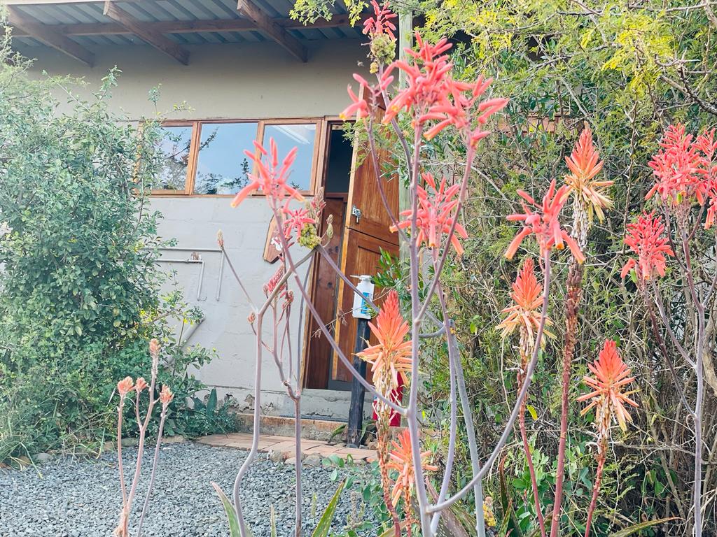 Nyalazi Camp (Pty) Ltd - Image 3