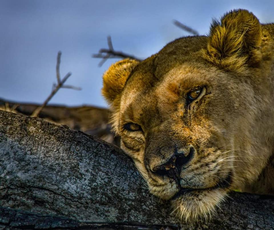 Wendy’s Country Lodge & Zululand Adventures  - Main Image