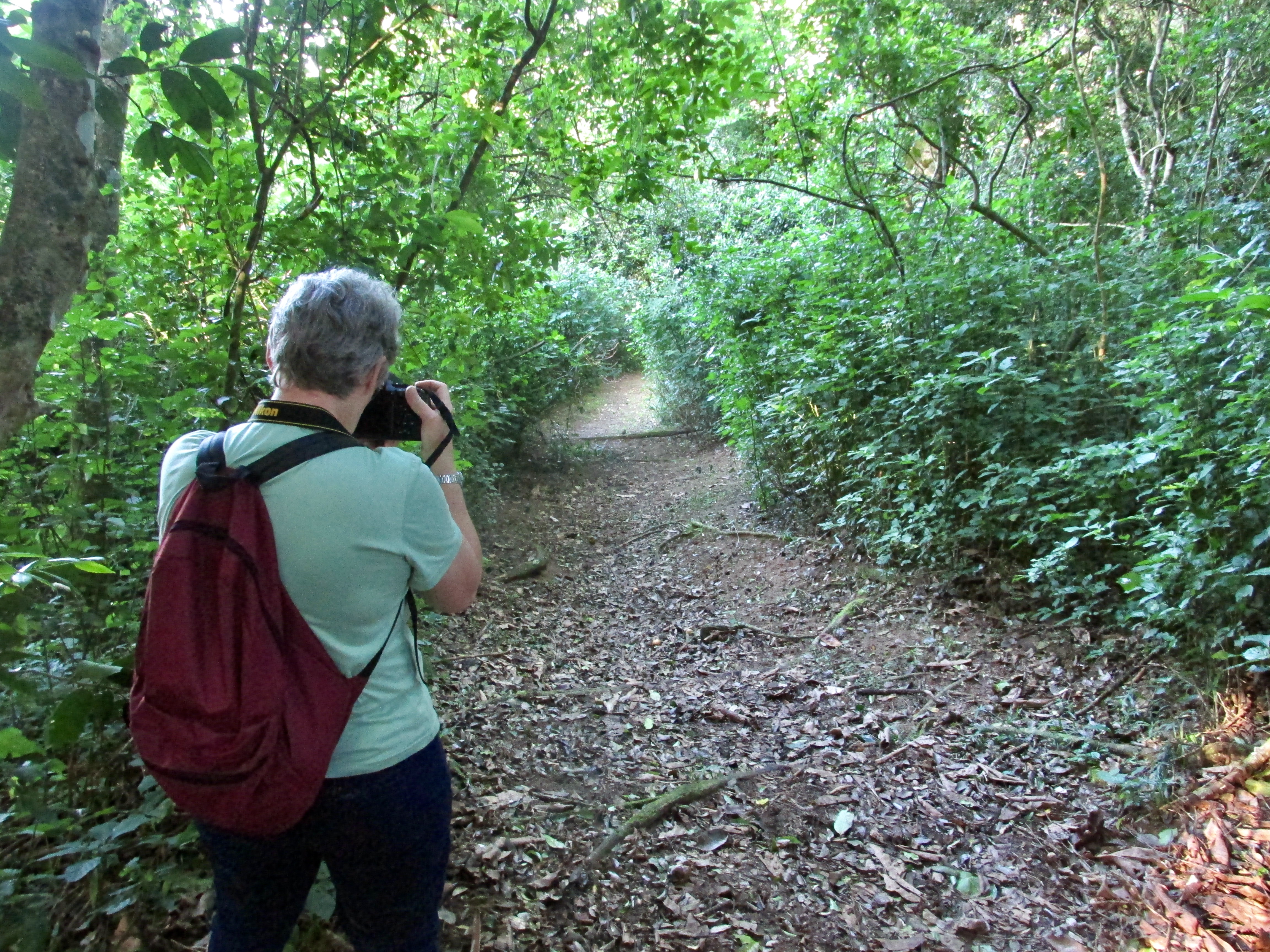 St Lucia Birding Tours - Image 3