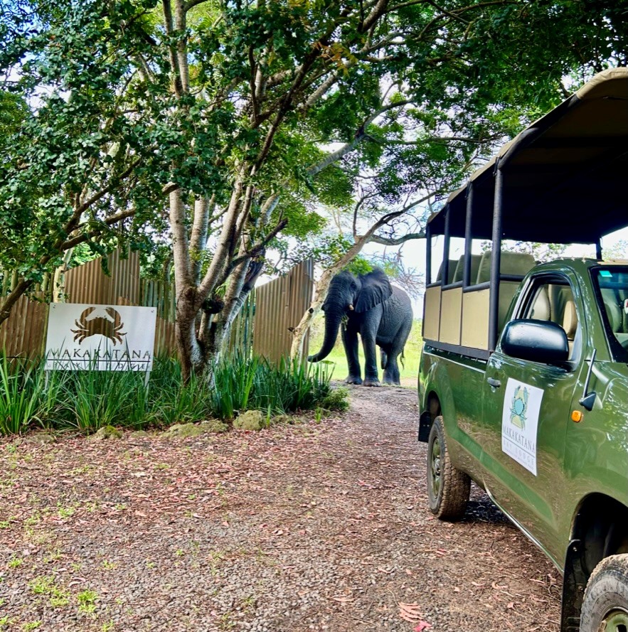 Makakatana Bay Lodge - Image 4