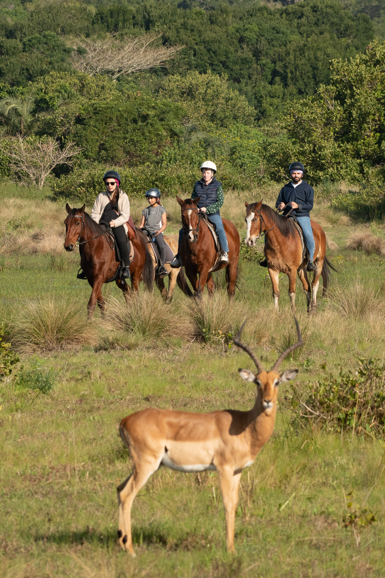Bhangazi Horse Safaris - Image 2